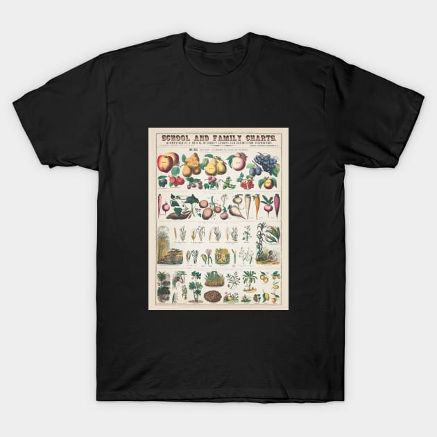 Botanical Fruit and Vegetables Plant Chart T-Shirt by Craftee Designs